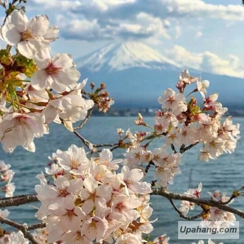 دانلود آهنگ خودم فداتم علی رزاقی