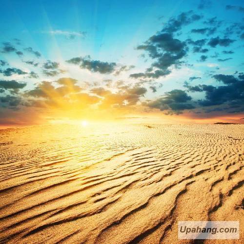 دانلود آهنگ دوست دارم امید اردمه