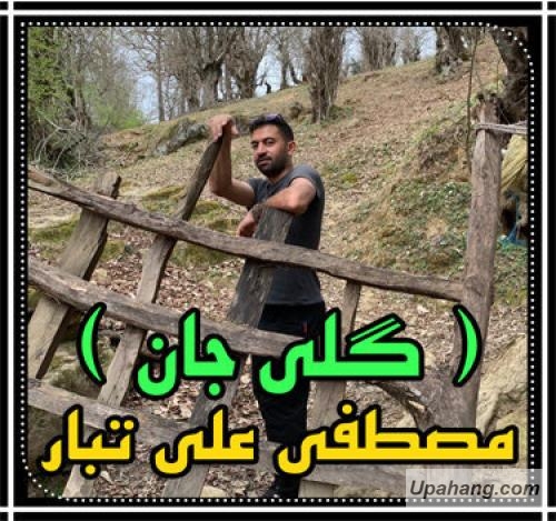مصطفی علی تبار گلی جان