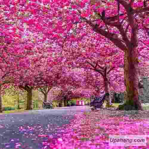 دانلود آهنگ زلزله علی جهانی