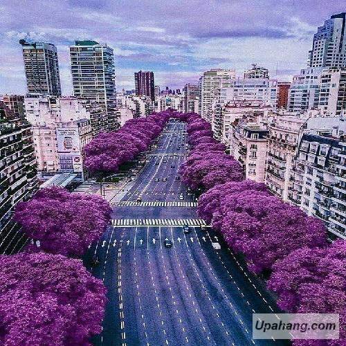 دانلود آهنگ قله ریبار