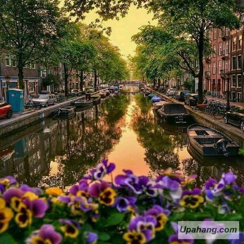 پامپ ایت آرژانتینی