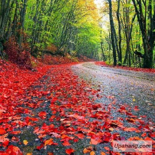 دانلود آهنگ ایت فا فیمس حاجی و سیناب