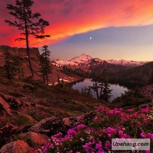 دانلود آهنگ علی بی غم محمود سهیلی