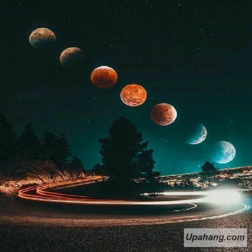 عزیز ویسی نرمه ژن