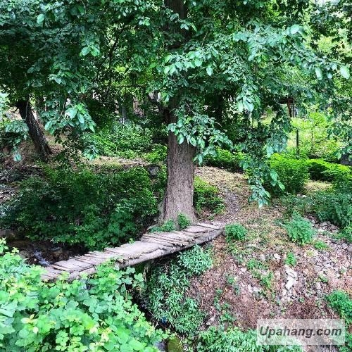 دانلود آهنگ خیلی عزیزه علیرضا قاسمی