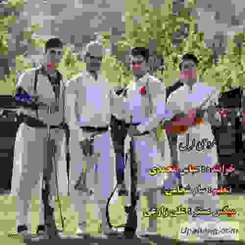 عباس محمدی عروسی لرل