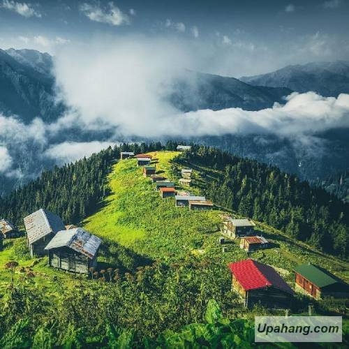 دانلود آهنگ بی احساس پیمان رضایی