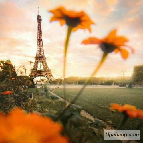 دانلود آهنگ رفیق محسن سابقی