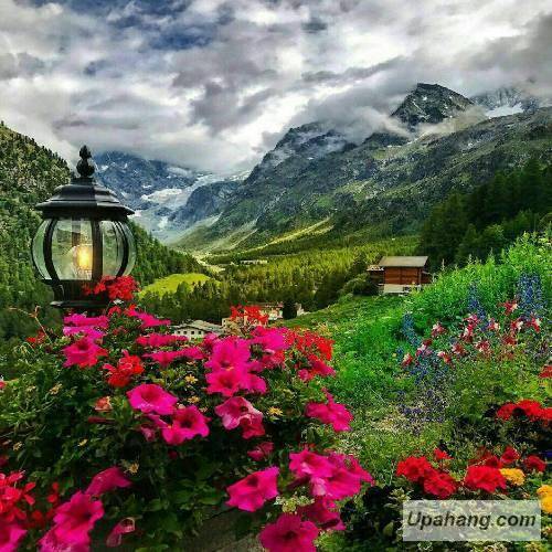 سویل و سوینج بوتون کیشلیر عینیدی