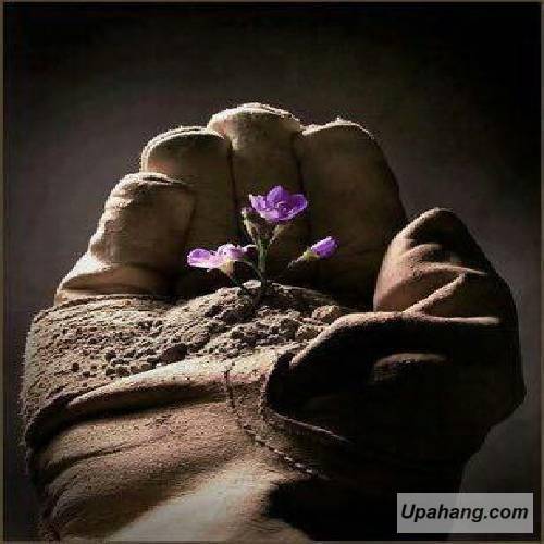 بیلال سونسس و آردا هان دایانیریم
