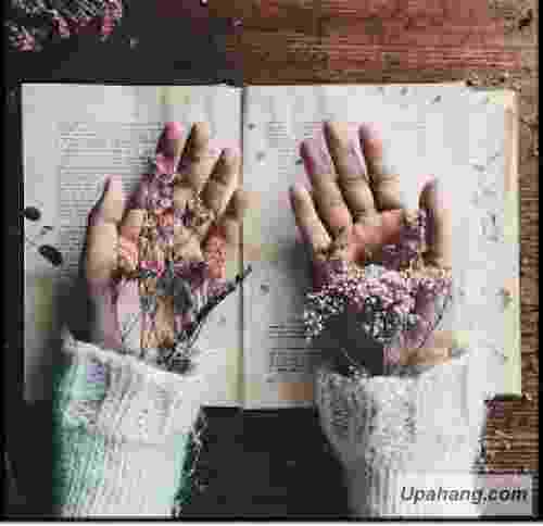 دانلود آهنگ ای روزگار امیرسیاوشی
