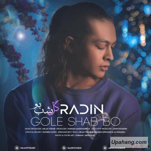 دانلود آهنگ گل شب بو  رادین
