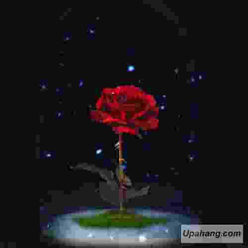دیجی ریمیکس Korkma Soyle