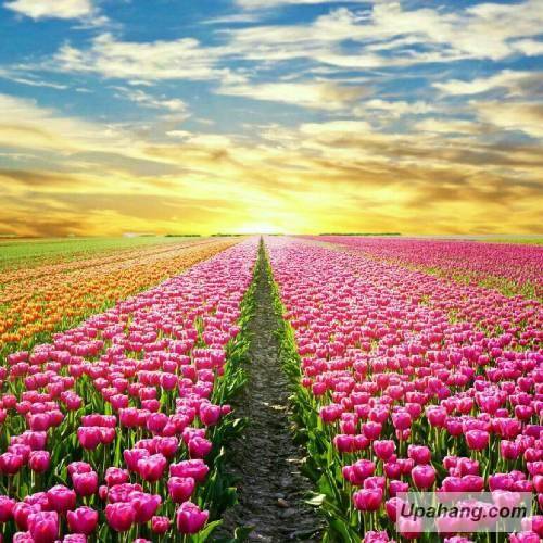 گوتی و دیجله  یاناجاعیمیز کادار یاندیک 