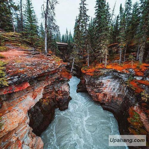 سبیهان آلتونای گیزلی گیزلی