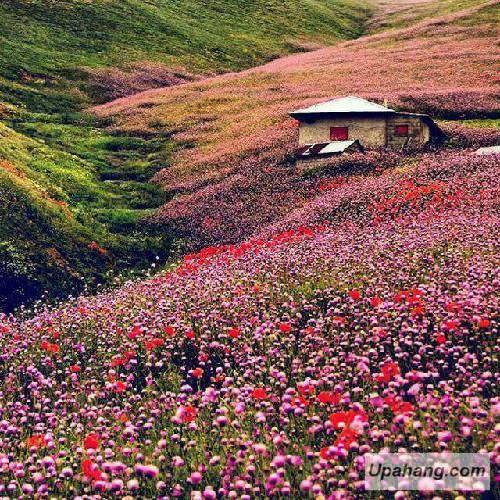 ایرماک آریجی و دوعانای کارادنیز یاس