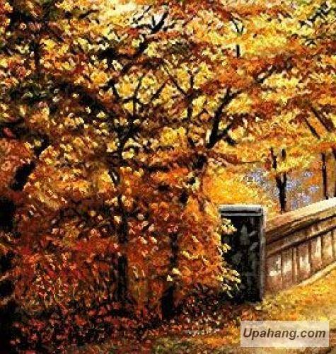 سمیجنک دوشر آکلیما