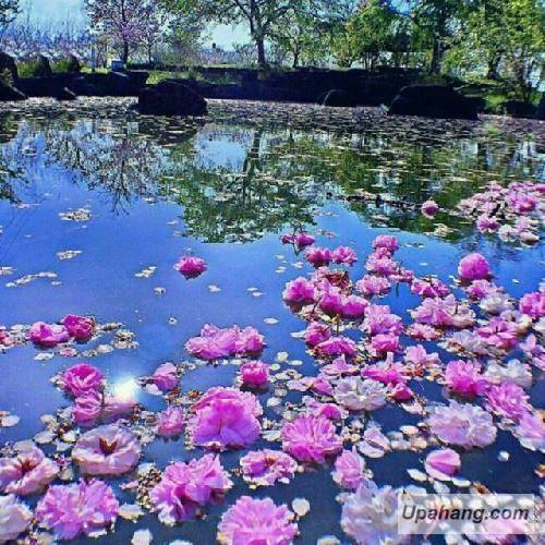 ماهسون داغلار اوی اوی