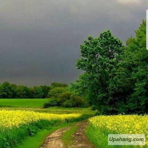 ناز دج او ظالیم