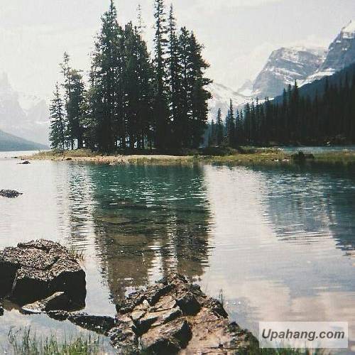فاطمه مهلبان دلخواه جان
