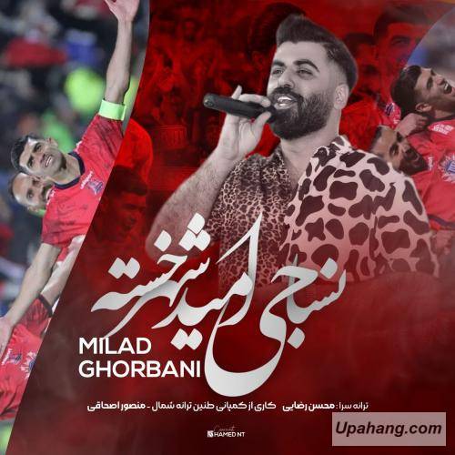 میلاد قربانی نساجی