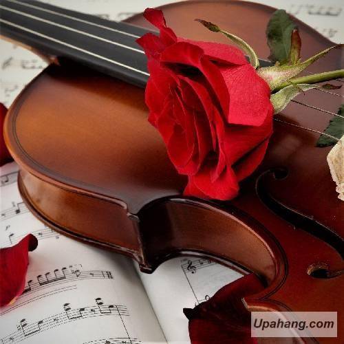 سارک هان ۱۰۰ گون درد 