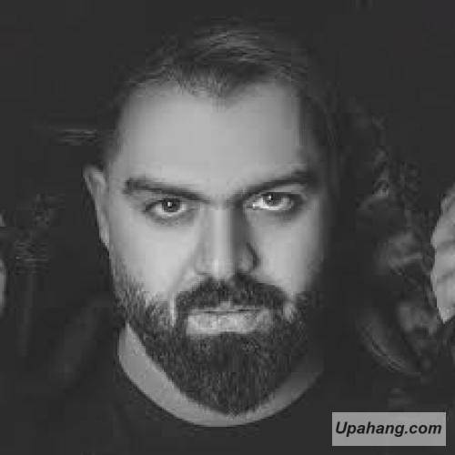 دانلود آهنگ بدون مرز  هامین