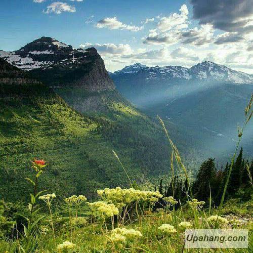 بلیتزر Beautiful Day