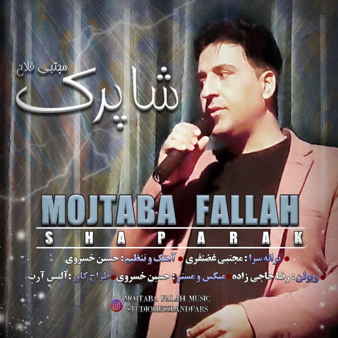 مجتبی فلاح شاپرک