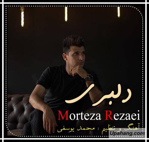  مرتضی رضایی دلبری
