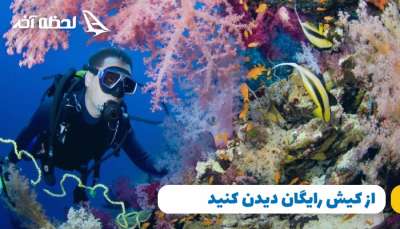 با تور کیش لحظه آخر بهترین سفر را تجربه کنید
