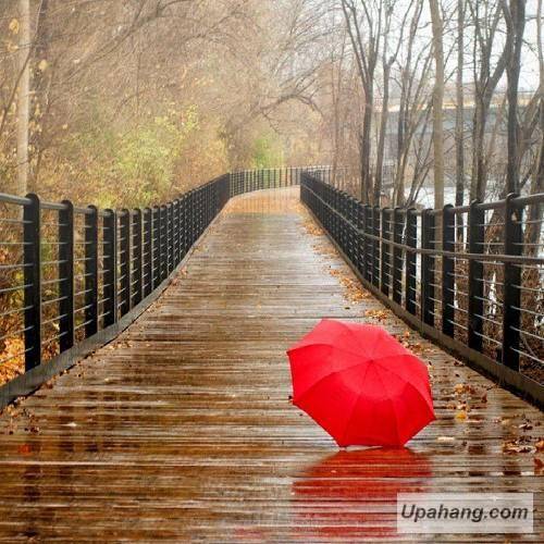 دانلود آهنگ توی بحبوحه عشق