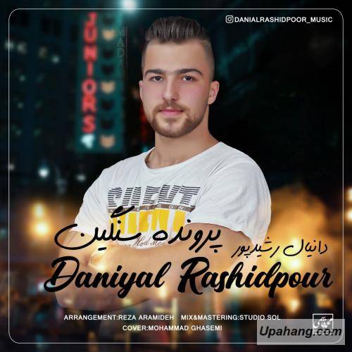 دانیال رشیدپور  پرونده سنگین