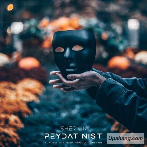 دانلود آهنگ پیدات نیست شروین حاجی پور
