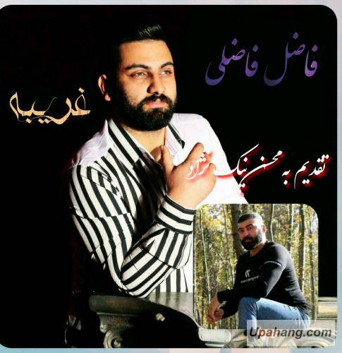 فاضل فاضلی غریبه