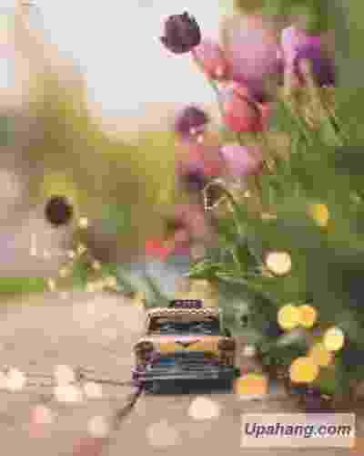 آیدیلگه عاشکا گل 
