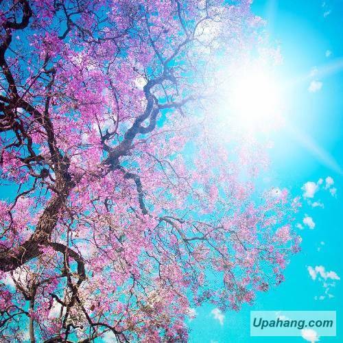 دانلود آهنگ رفیق رضا محمدی