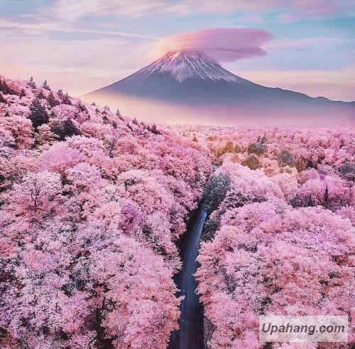 هیچکس همسنگرمی چه کنارم باشی‌ چه دور چه صد قدمیم