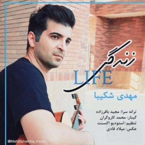 مهدی شکیبا زندگی