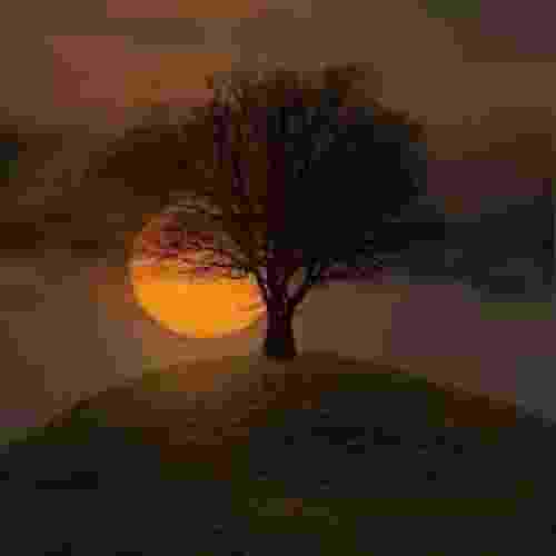 دانلود آهنگ لمس بهرام