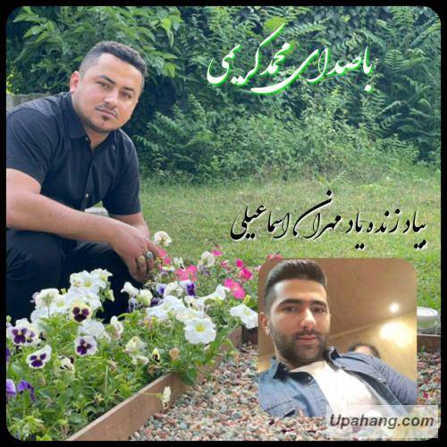 محمدکریمی رفیق