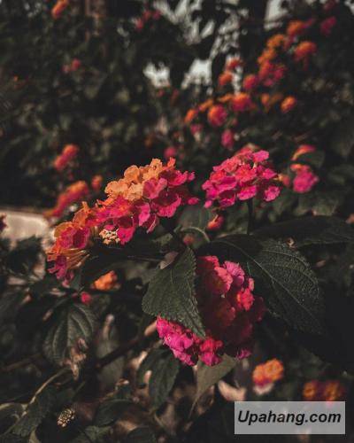 دانلود آهنگ امیدوارم کیمیا