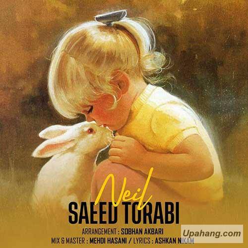 دانلود آهنگ نیل سعید ترابی