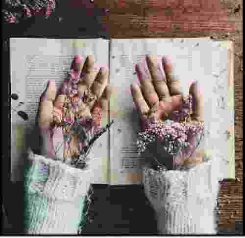 هاوکار صابر لای لای سوره گول
