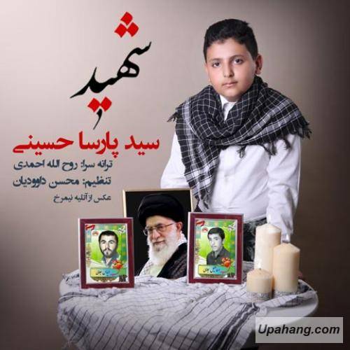 سید پارسا حسینی شهید
