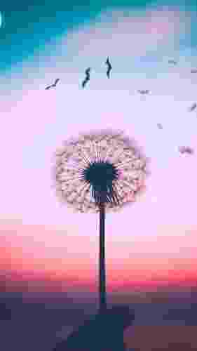 تەمەن احمد گەردەن زە