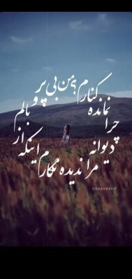 دانلود آهنگ من بی پر و بالم از این که نگارم ندیده مرا دیوانه چرا نمانده کنارم