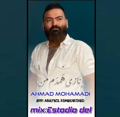 احمد محمدی نازی همدم من
