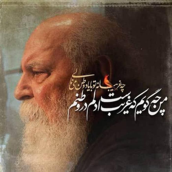 دانلود آهنگ نتوانستم که بگویم دلم اینجا مانده ست هوشنگ ابتهاج